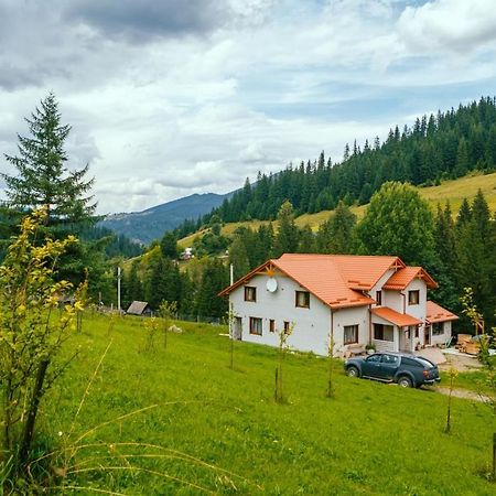 Khata Lisnyka Verchovyna Exteriör bild