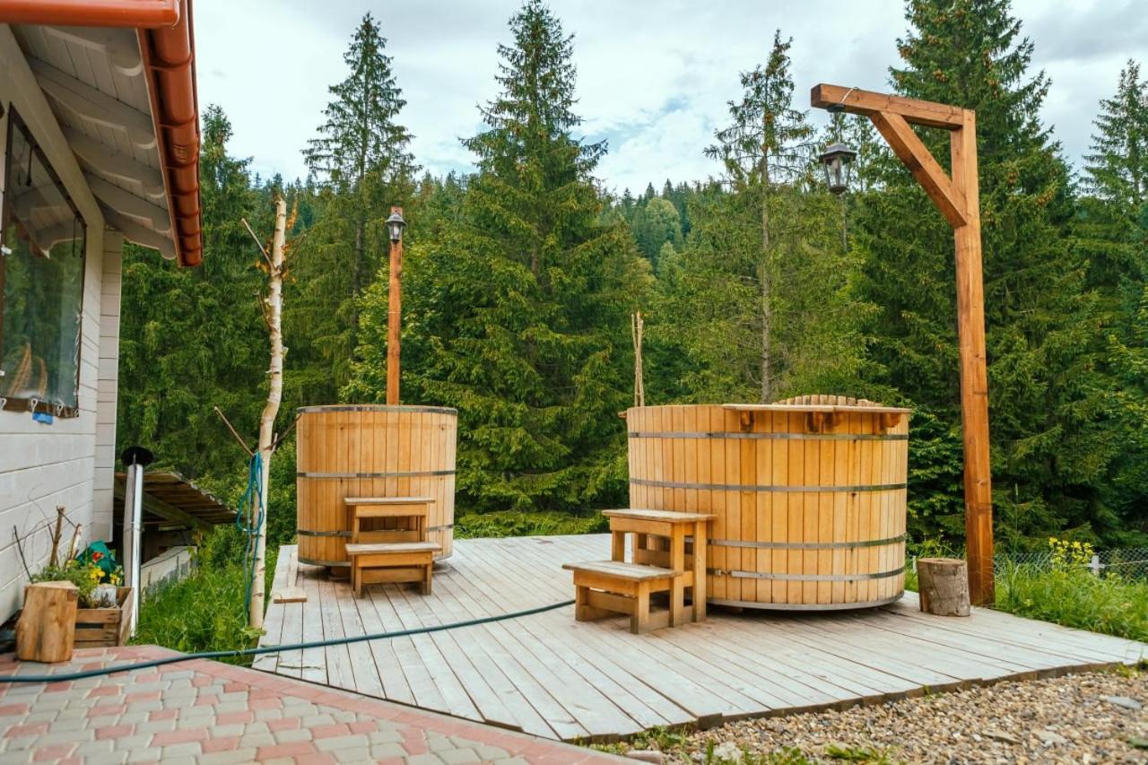 Khata Lisnyka Verchovyna Rum bild
